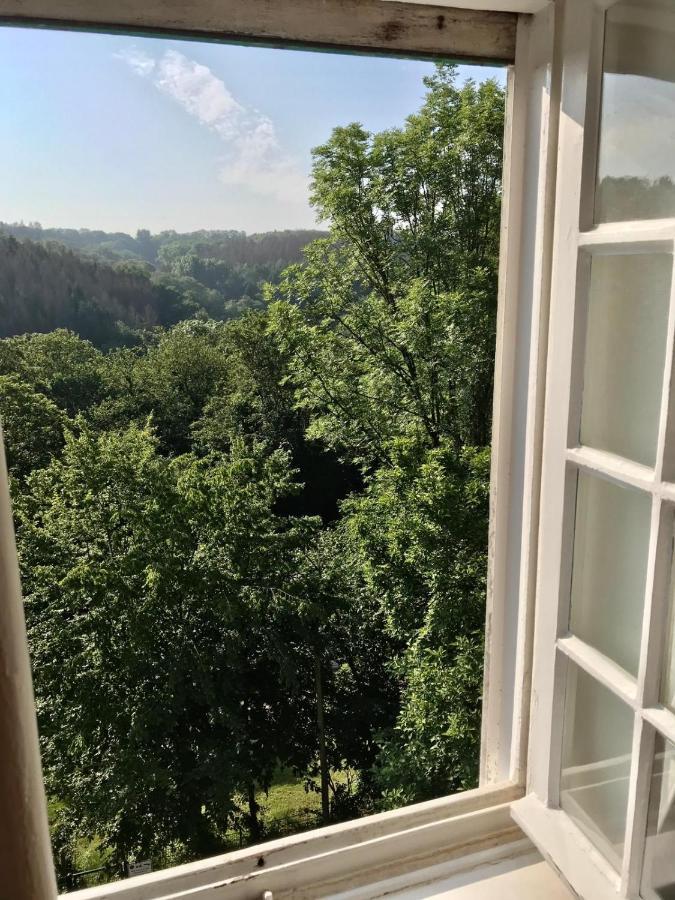 Villa Erbschloe 렘샤이트 외부 사진